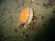 Thumbs/tn_SanJuan 046.jpg